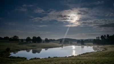 Synonyms for Moonlight